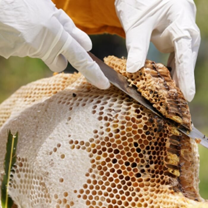 Rich and Authentic Jungli Honey - Image 2