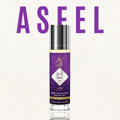 Aseel Attar 6ml – Long-Lasting Arabic Fragrance