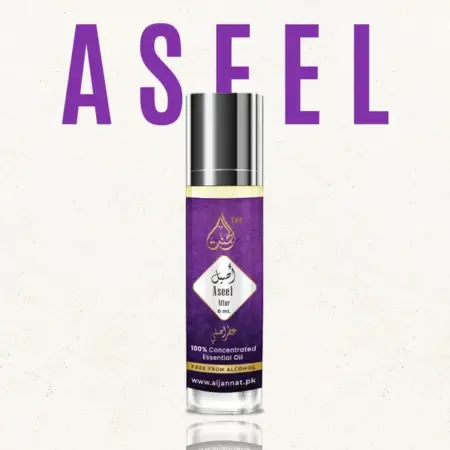 Aseel Attar 6ml Arabic fragrance perfume oil bottle